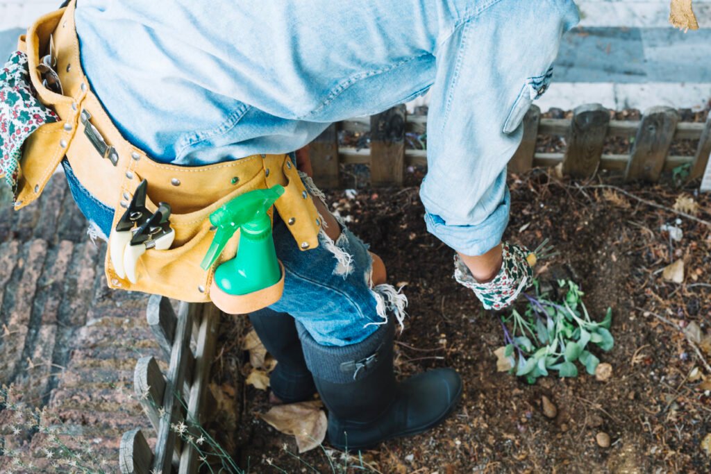 Gardening with proper organic waste disposal in Colorado Springs